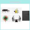 Educational Science Light Diffraction Animation Craft Kit For Children Hands On Science
