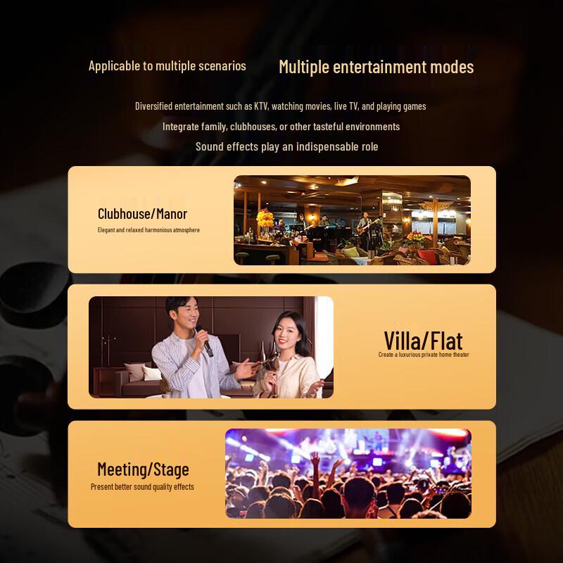 Songchuan SY70-12 KTV & Conference Audio System CN plug (adapter included)