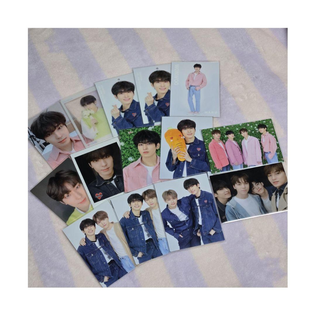 

[USED] SEVENTEEN HARU trading card Wonwoo