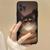Pet Cat Funny Memes Phone Case For IPhone 16 15 14 11 12 13 Mini Pro XS Max Cover 6 7 8 Plus X Funda Shell