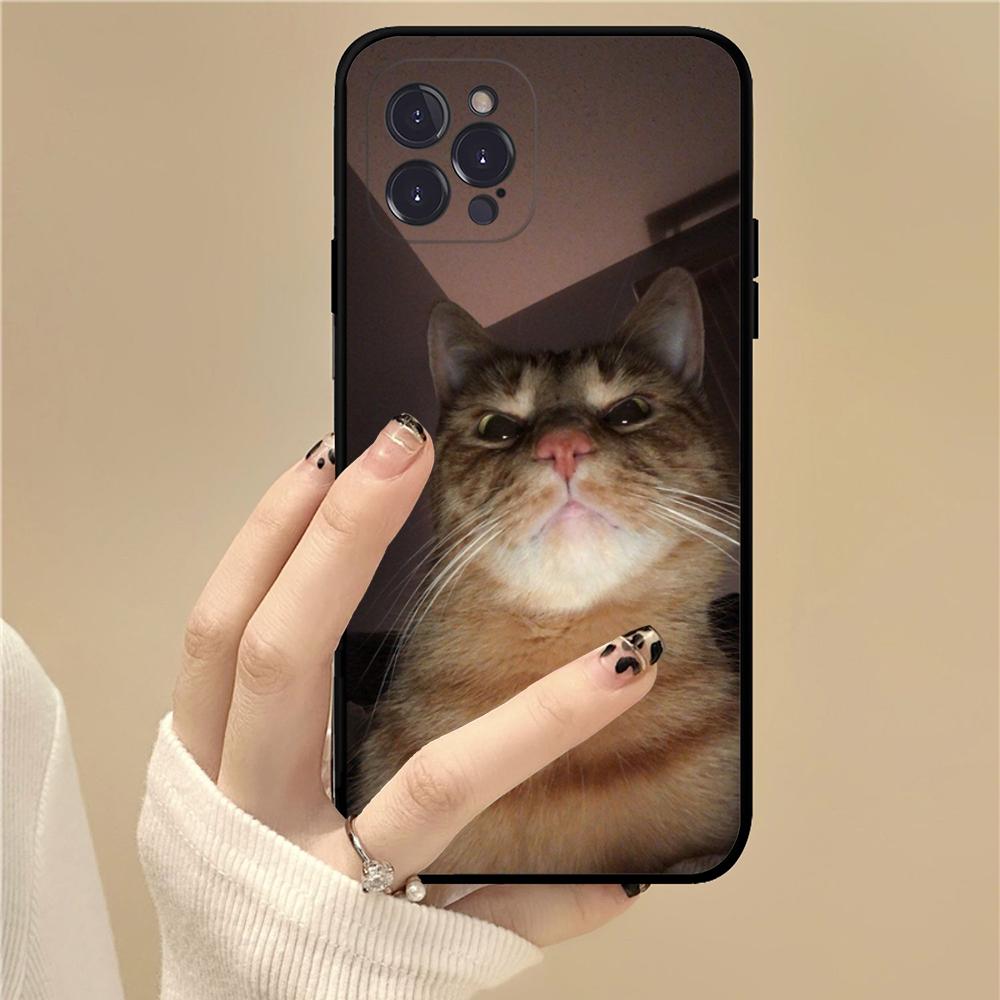 Pet Cat Funny Memes Phone Case For IPhone 16 15 14 11 12 13 Mini Pro XS Max Cover 6 7 8 Plus X Funda Shell