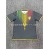 Mens Short Sleeve Soccer Jerseys Cameroon Congo Mali Senegal Benin National Team Fans Football Shirts
