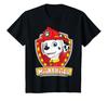 Üst giysisi – T-shirtler