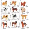 12-piece set of colorful lifelike lizard mini animal and small animal model ornaments