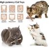 Bissap 10 PCS Silvervine Chew Sticks for Cats, Catnip Chew Sticks Cat Toys for Indoor Cat Kitten Teeth Grinding Interactive Feather Toys for