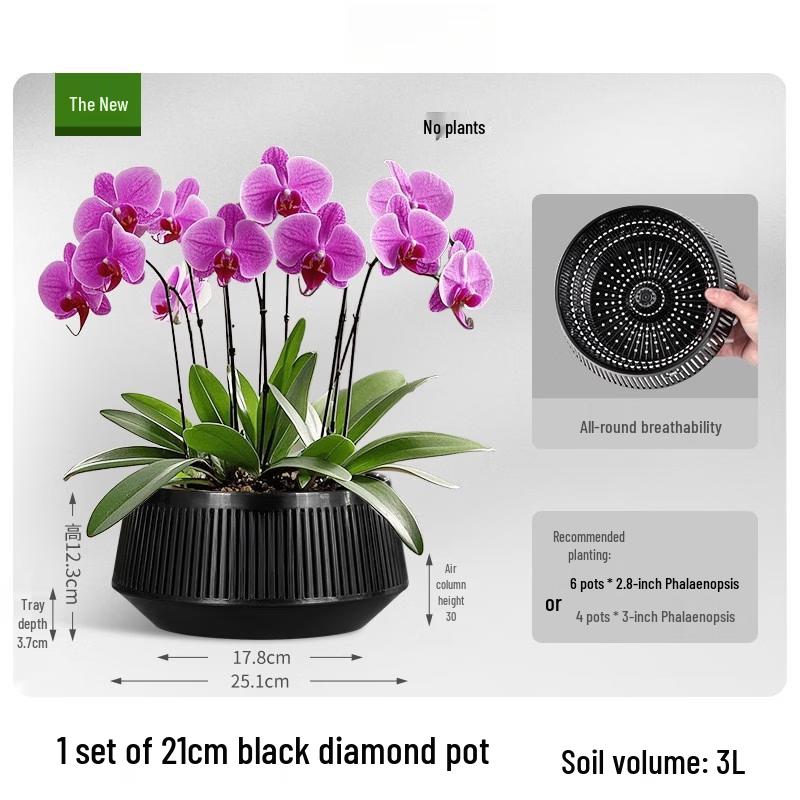 Root Control Breathable Double-Layer Flower Pot Set