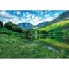 [Puzzle Gallery] District Park 500 Piece Jigsaw Puzzle - Scenic Landscape PG514