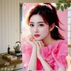 D Flat Pc D Flat Posters D Flat Pc Pink Attire and Gentle Pose Exude a Romantic and Aesthetic Atmosphere Retro Iron Sign