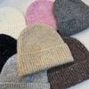 Simple Wool-blend Knitted Wool Hat Women's Fashionable Silver Sequined Ear Protectors Warm Cold Hat
