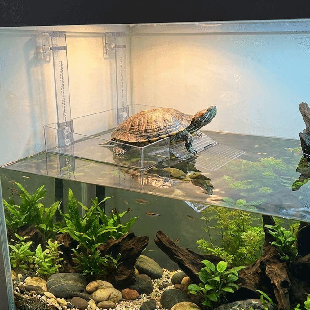 Suction Cup Turtle Floating Platform Plastic Reptile Ramp Stable Climbing Ladder Pet Habitat