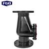 FGO Cast Iron Swing Check Valve
