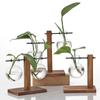 Transparante Glazen Plantenbak Bolvaas met Houten Standaard Desktop Glazen Plantenbak voor Hydrocultuur Planten bloem Koffiehuis Kamer Decor