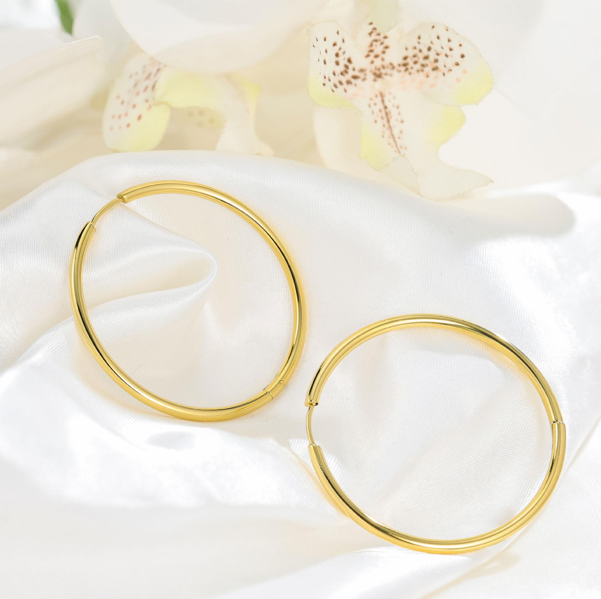 

Stainless steel simple earrings light luxury niche titanium steel earrings women s simple personality versatile does not fade