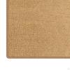 Cat Scratcher Mat Water Bowl Dog Food Dishes Place Kitten Pet Placemats