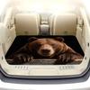 1Pcs Brown Bear Paw Print Car Trunk Mat with Anti Slip Cargo Liner Waterproof Rear Storage Protector Floor Mat for SUV Sedan Veh
