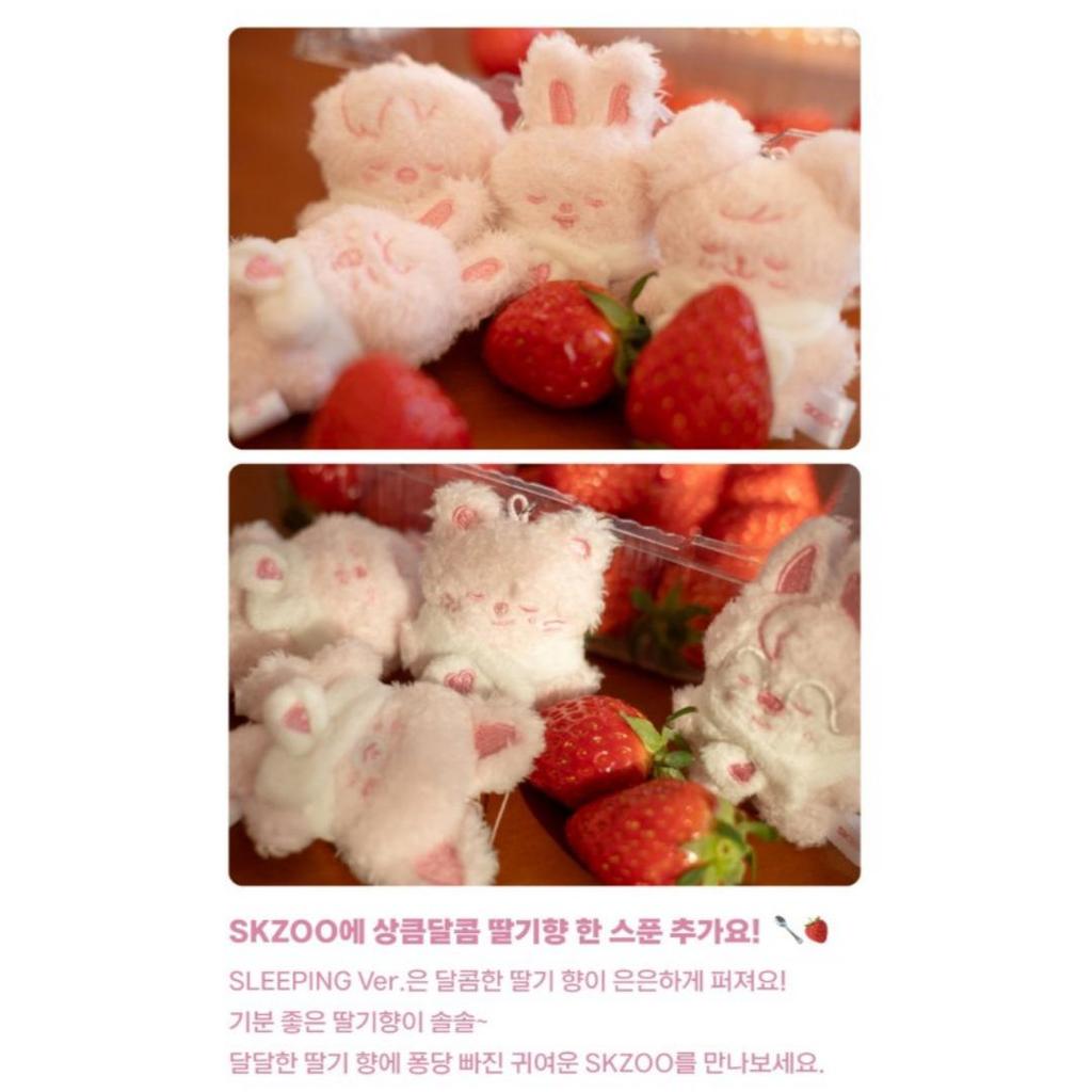 Stray Kids - STAY in Our Little House SKZOO SECRET PLUSH MICRO Ver.