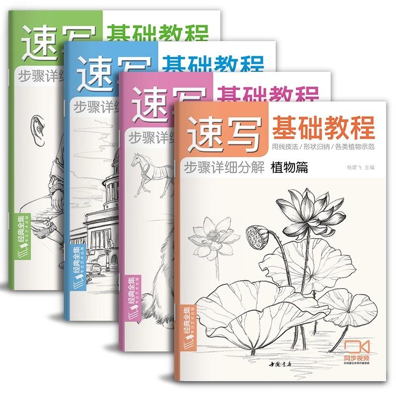 

Zero Foundation Beginner Sketching Fundamentals Tutorial Pencil Drawing Album Book - Copying Textbook for Art Learners 4 Books