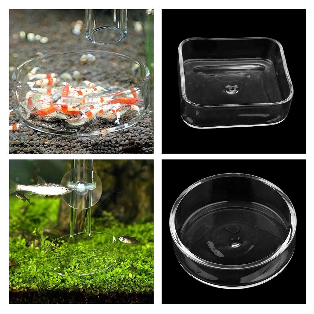 Glass Shrimp Feeding Food Dish Transparent Tray Aquarium Products for Freshwater and Marine Tanks
