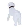 AVIREX Collar with Red Avirex Dog Pet Outing Training Walking Outdoor Training Adjustable MA-1 Scarf, (M) Collar, Collar, Accessory, Accessory,