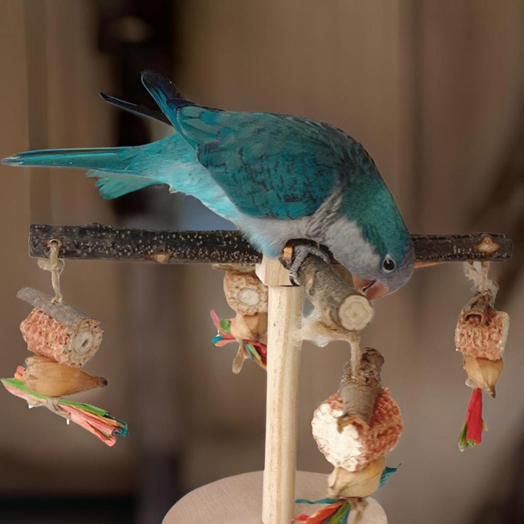 Drewniany Stojak Obrotowy do Ścierania Dzioba dla Papug Konur Akcesoria dla Papużek Falistych Gryzaki Drapaki dla Małych i Średnich Papug