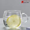 Chaxun Transparent Glass Tea & Water Mug