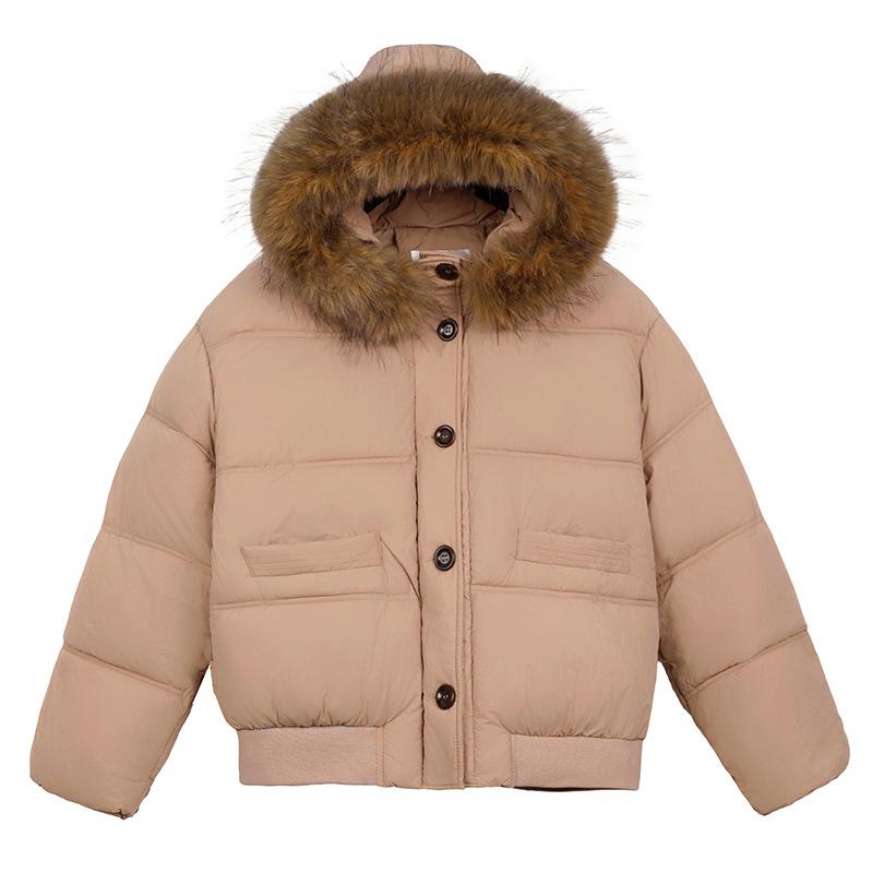 Seasonal down cotton-padded clothes women's loose cotton-padded clothes casual short big fur collar jacket