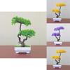 Artificial Greenery Small Tree Tabletop Decor For Living Room