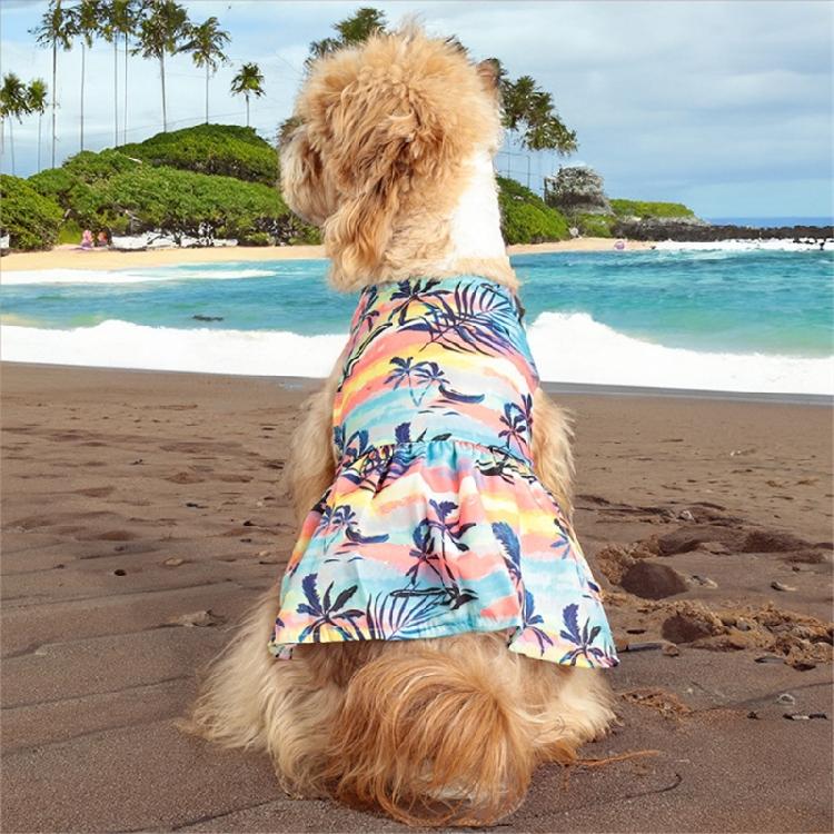 Liebliches Hundeblumenkleid Prinzessinnen-T-Shirt-Kleid Strand-Blumenhemd Outfit für Elegante Videos Haustierbekleidung