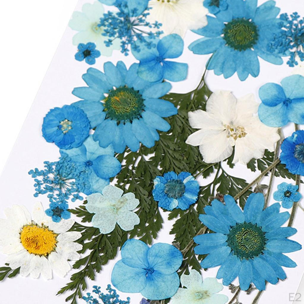 Dried Flowers DIY Decorative for Resin Jewelry Making Crafts Nail Stickers
