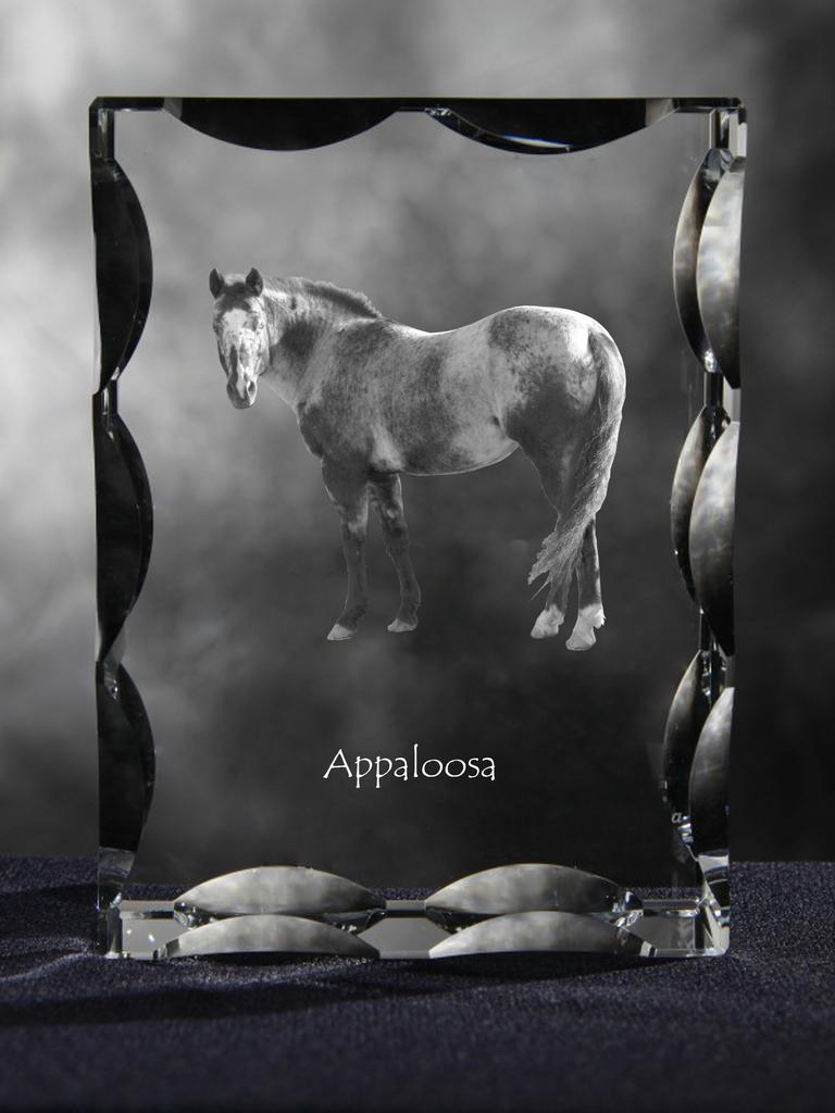 Appaloosa – Kryształ ze zdjęciem konia, szklana statuetka ze zdjęciem | Art-Dog