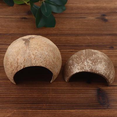 Coconut Shells Hut Reptile Hideouts Shelter Hide Breeding Hermit Ornament House Growth For Aquarium Decor