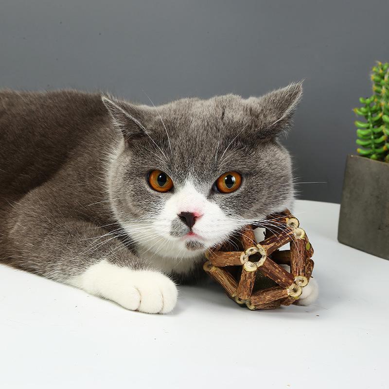 Wood-Flavored Catnip Balls & Teasers: Chew-Resistant Toys and Teeth Cleaning Sticks for Kittens