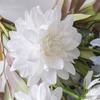 Artificial Dahlia Flower Bouquet Faux Silk Floral Arrangements with Eucalyptus Leaves for Dining Table Centerpieces DIY Wedding Bridal Bouquet