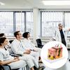 35/50/70/85X Vergrößertes Hautmodell Haut Anatomisches Modell Lehrmittel für Klassenzimmerstudium Ausstellung Lehre Medizinisches Modell
