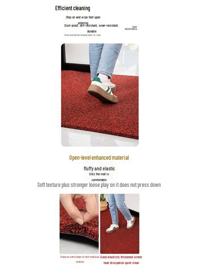 Customizable Non-slip Entrance Door Mat – Thickened Silk Coil Carpet Mat for Home