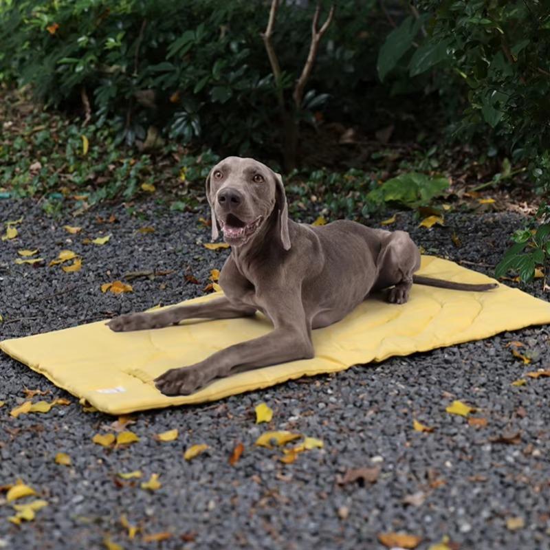 Foldable Dog Blanket Light Easy to Clean Dog Cage Pad Floor Mat Sleeping Bed for Indoor Outdoor Camping
