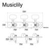 Musiclily Akustikgitarre Stimmmechanik Nickel 3-in-einer Reihe Set,