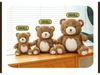 Adorable Teddy Bear Plush Doll - Perfect Children's Birthday Gift