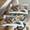Comforter 2/3Pcs Cat Pattern Print Bedding Set Suitable For Boys' And Girls' Bedroom Use Machine Washable.
