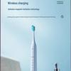 Panasonic DC01 Sonic Electric Toothbrush