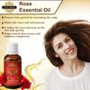 Exotic Aromas Lavender Essential Oil & Rose Oil, Pack of 2