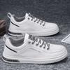 Canvas shoes men's 2025 summer men's shoes trend men's board shoes versatile casual shoes breathable deodorant ice silk cloth shoes