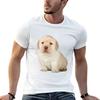 Quieres TShirt Funny T Shirts Dark Humor Unisexs Graphic T Shirts T Shirt Unisex Designer Tshirt