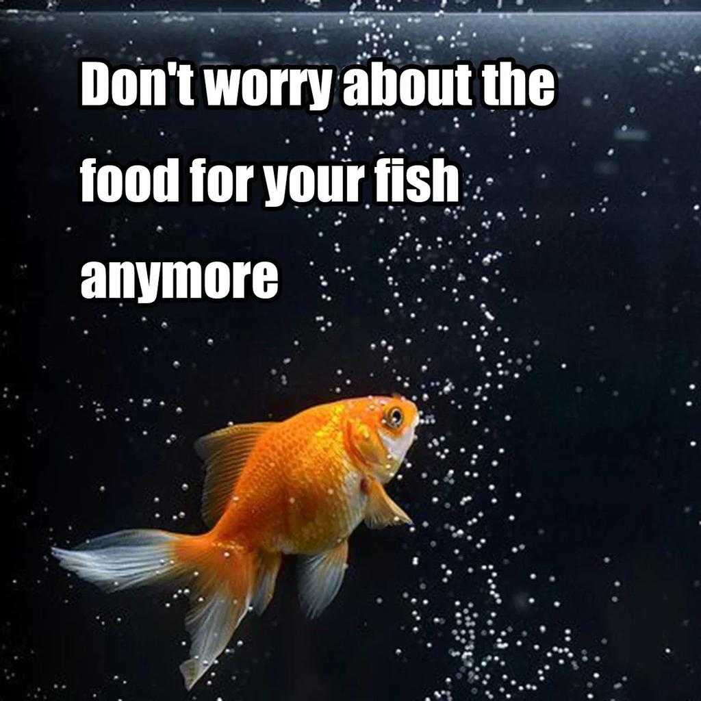Automatic Fish Feeder 100ML Battery Operated Programmable Timer for Aquarium Fish Tank Easy Setup Vacation Use