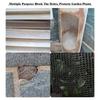M-Modern-Stainless Steel Metal Mesh Insect-Proof Net Fly-Proof Net Rat-Proof Filter Net Seedling Protection Net