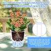 10 Pcs Self Watering Planter Lazy Hydroponic Flower Pot Plastic Translucent Self-absorbent Flower Pot Desktop Decoration