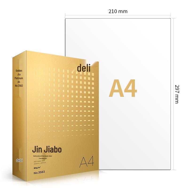 Deli Rhine 7419 Double-Sided 80G Printing Paper - Student & Office Use