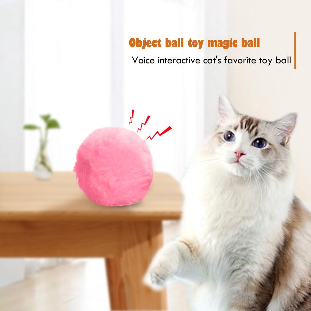 magic ball for cats