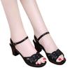 2025 New Thick Heel Sandals Women's Summer Fish Mouth Women's Shoes Sexy High Heels Women's Black Mother Shoes Children's Middle Heel