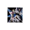 Bandai RG 1/144 Strike Freedom Gundam Titanium Finish Model Kit Hobby Collectible